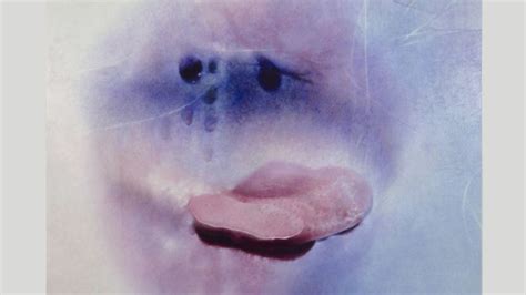 naked aunty|Sex positivity after 70: Marilyn Minter’s sensual photographs of ...